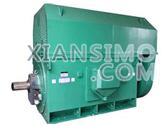 YKK800-12YXKK(2极)高效高压电机技术参数